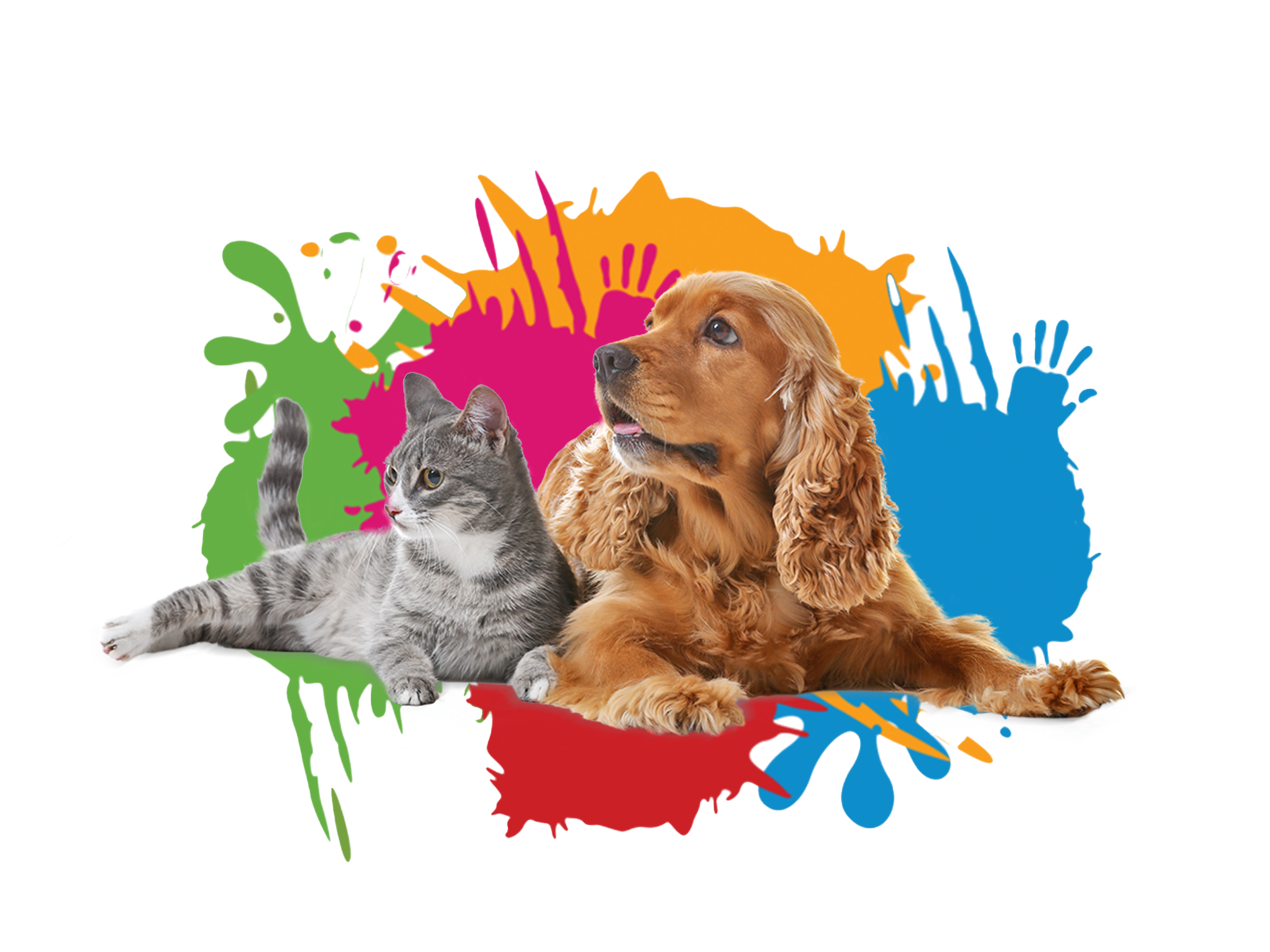 pets